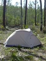 Field Photos