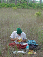 Field Photos
