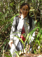 Field Photos